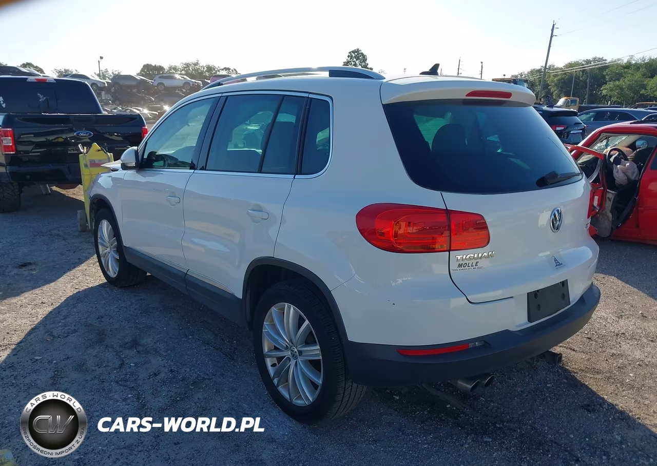 2015 Volkswagen Tiguan Sel VIN:WVGBV7AX2FW518160 - 3