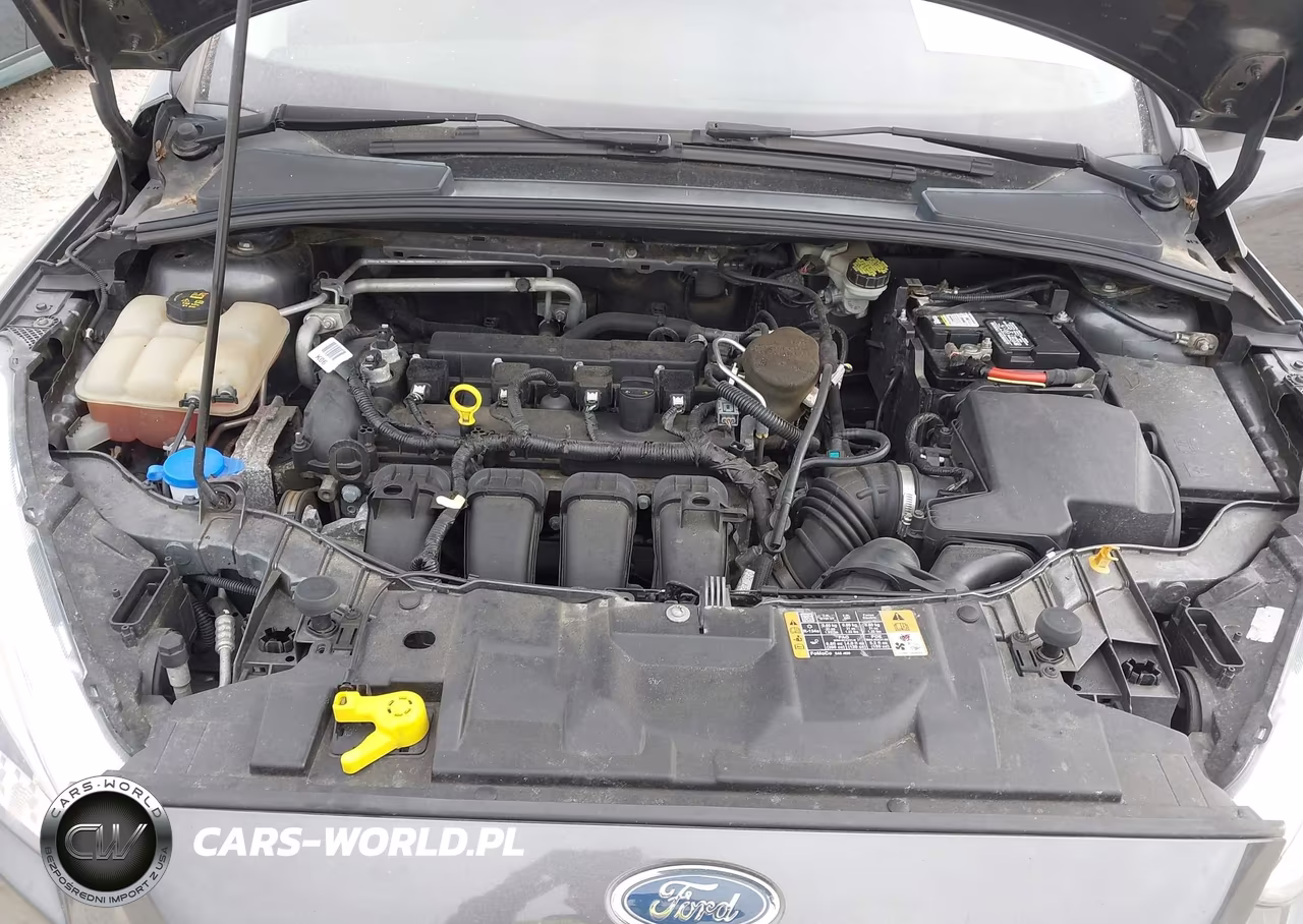 2016 Ford Focus Se VIN:1FADP3F23GL229486 - 10