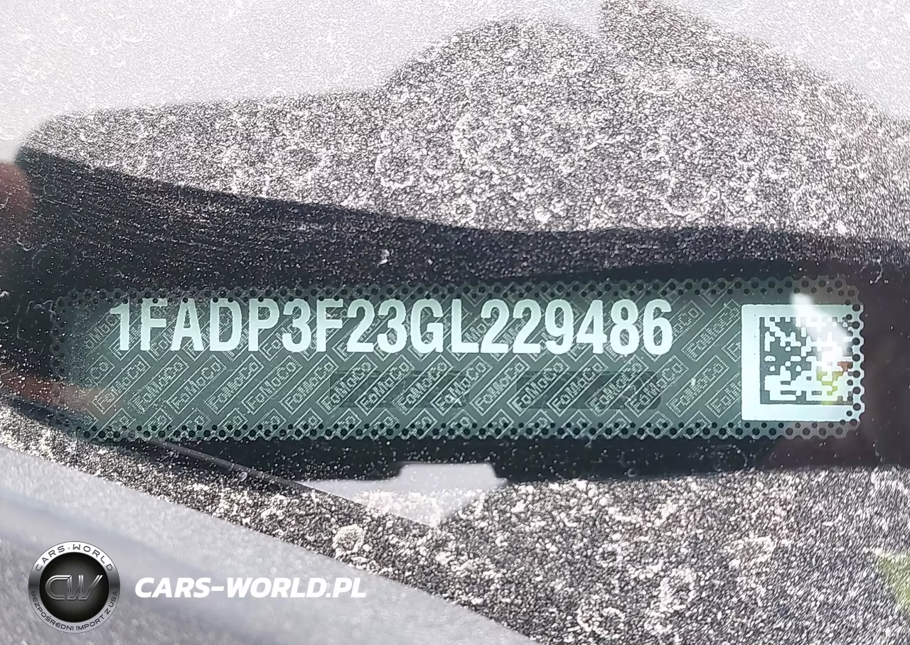 2016 Ford Focus Se VIN:1FADP3F23GL229486 - 9