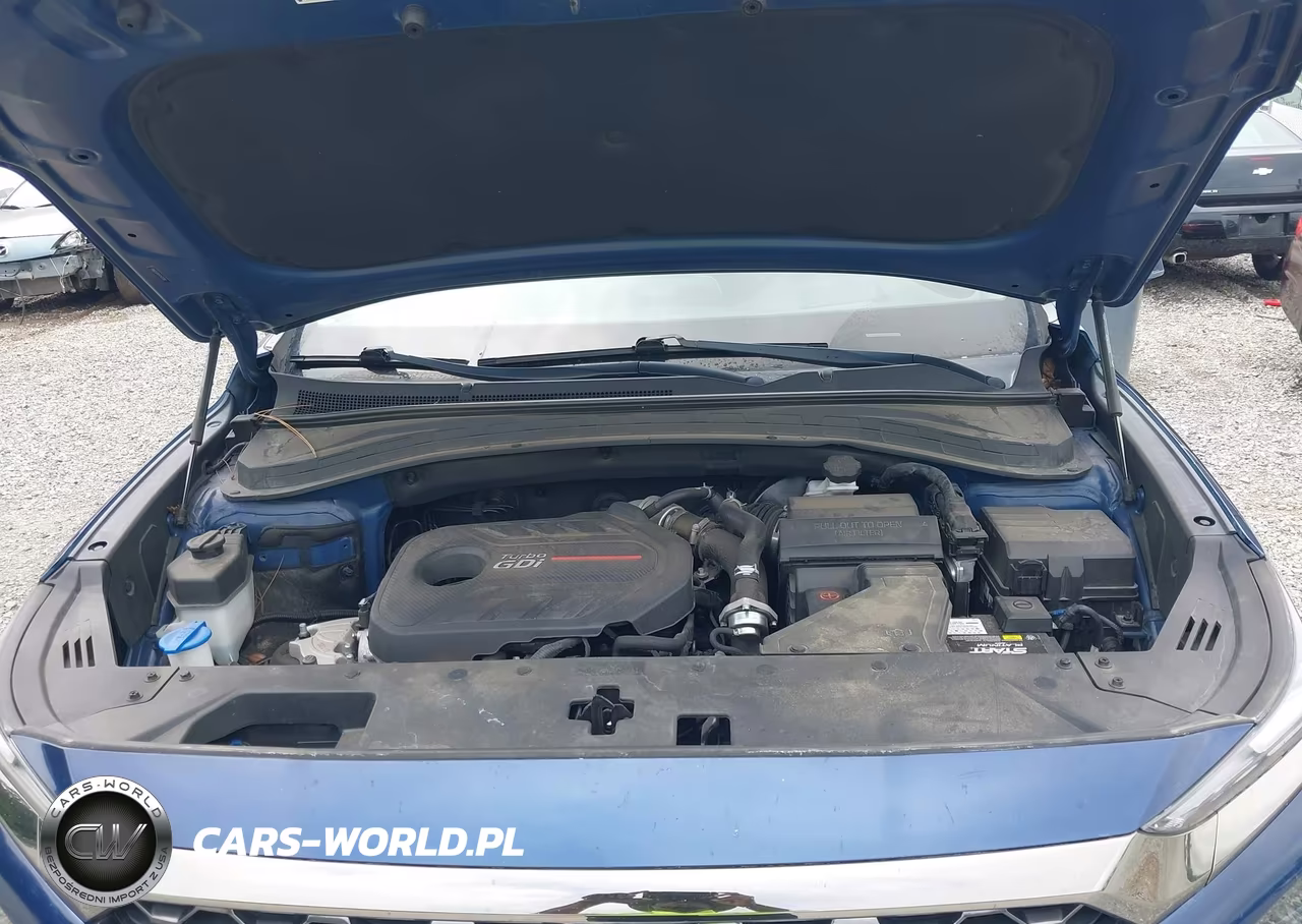 2020 Hyundai Santa Fe Limited 2.0T VIN:5NMS53AA4LH231202 - 10