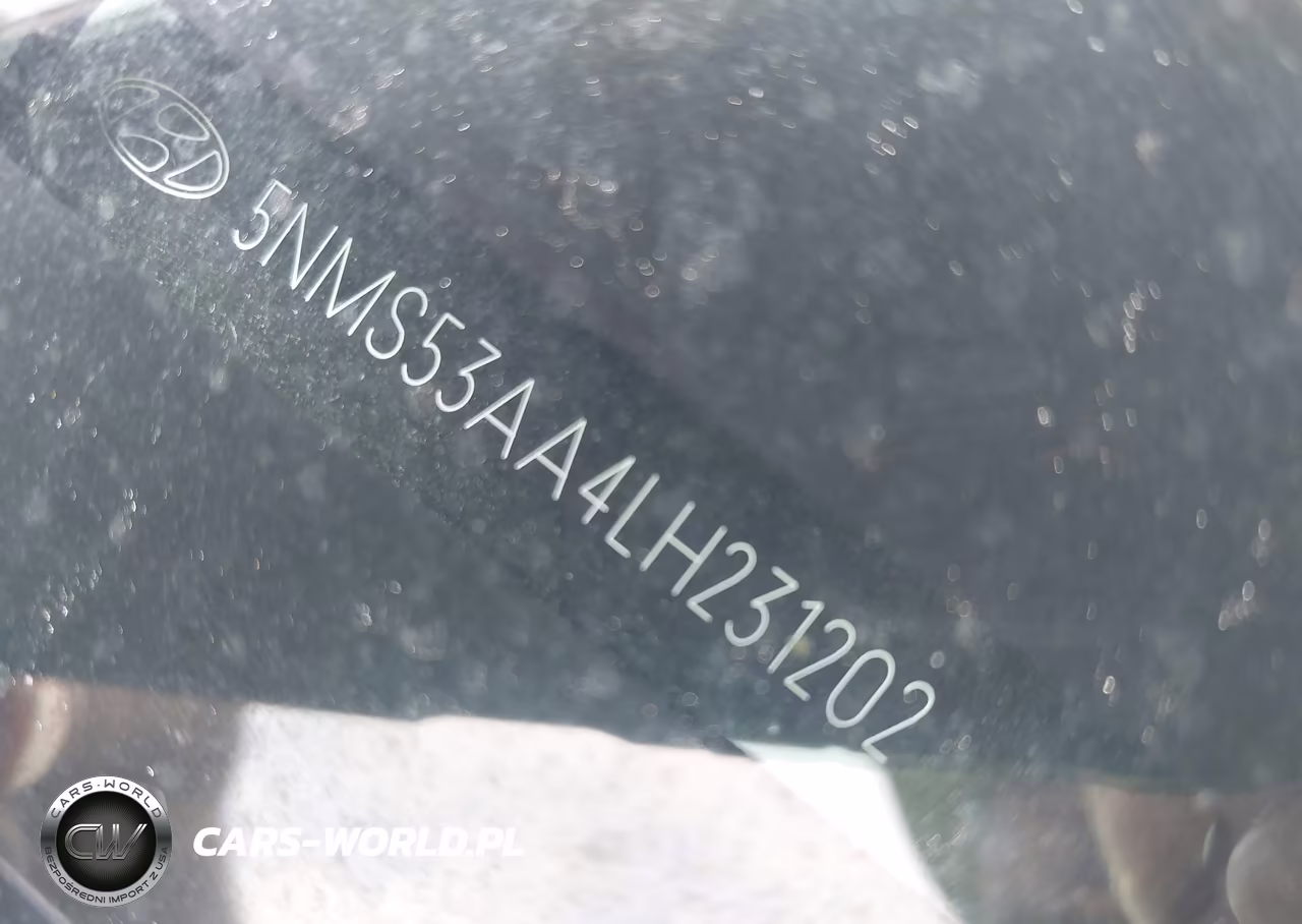 2020 Hyundai Santa Fe Limited 2.0T VIN:5NMS53AA4LH231202 - 9