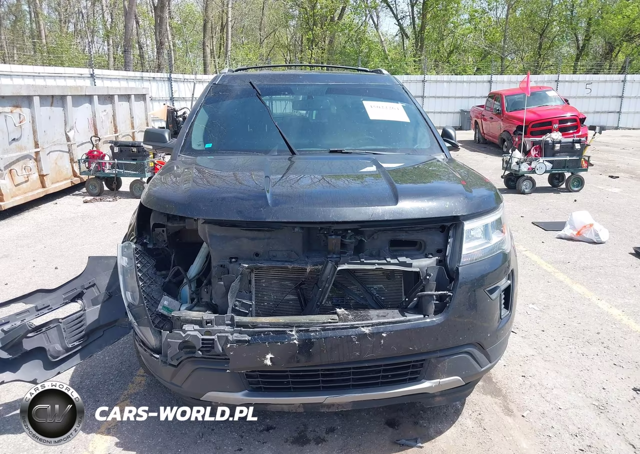 2019 Ford Explorer Xlt VIN:1FM5K8D8XKGB29156 - 12