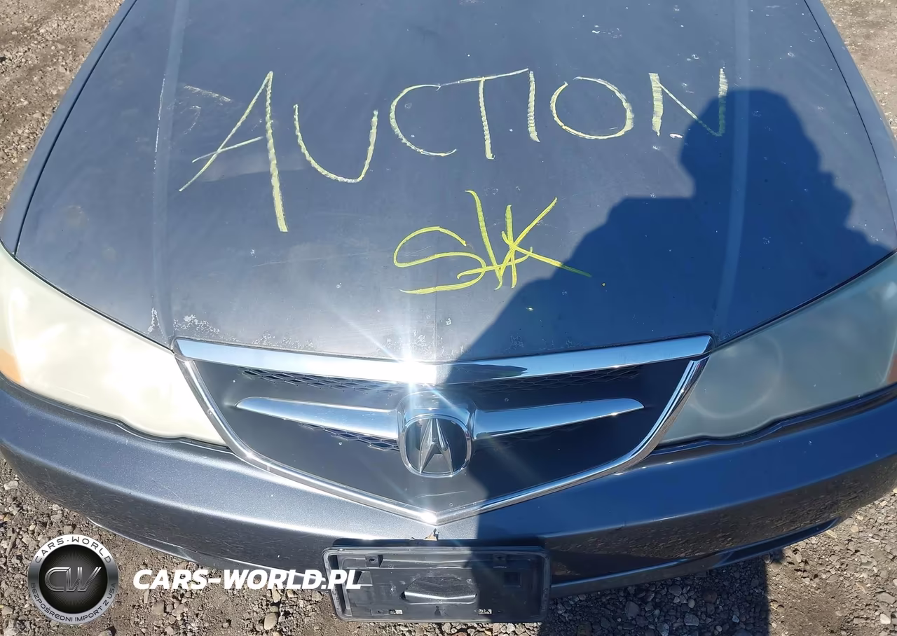 2003 Acura Tl 3.2 VIN:19UUA56623A093918 - 10