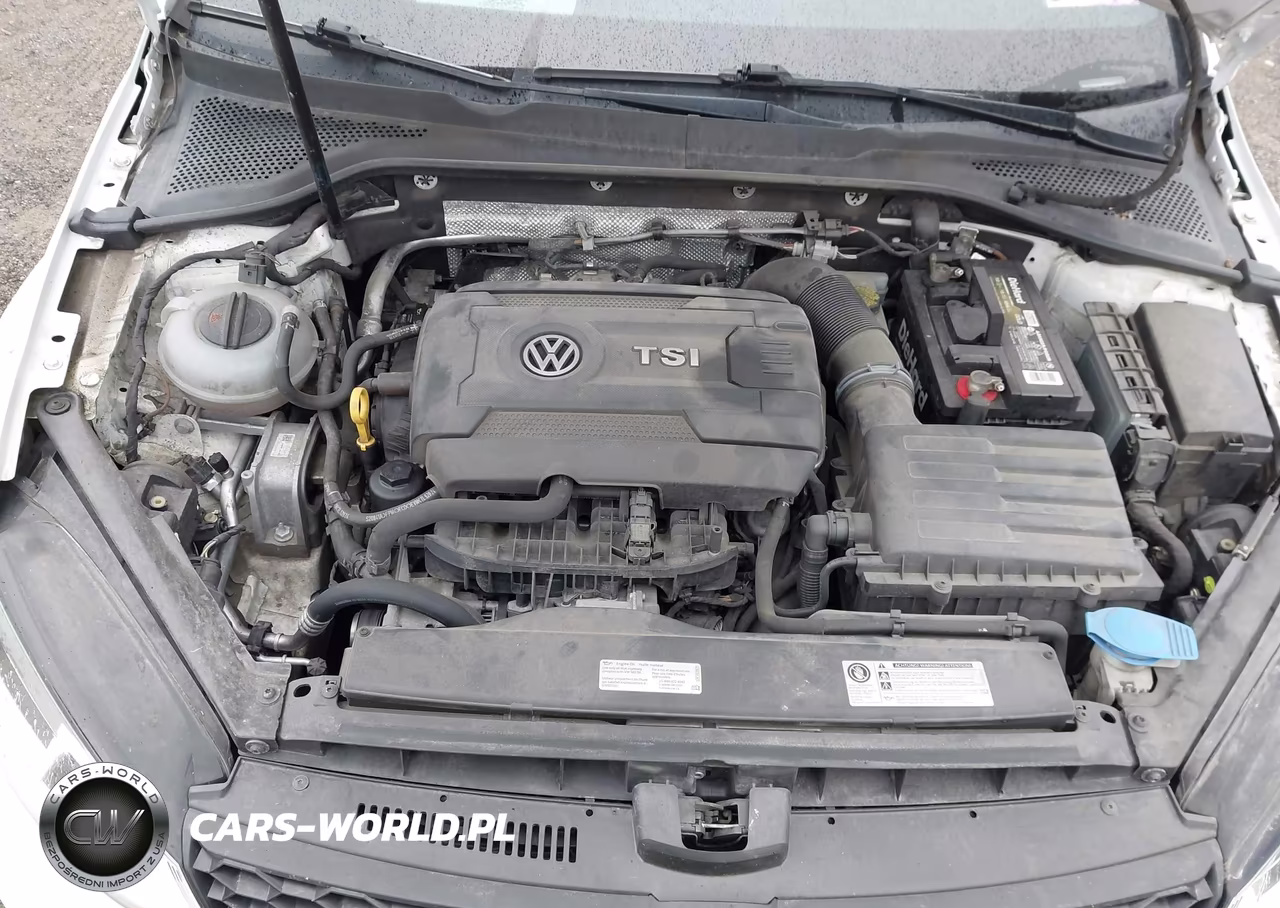 2017 Volkswagen Golf Gti S 4-Door VIN:3VW5T7AU3HM009014 - 10