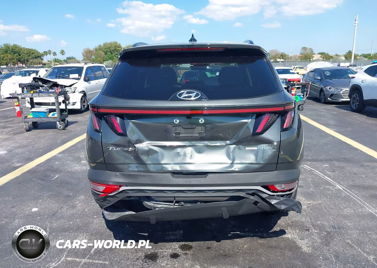 2024 Hyundai Tucson Hybrid Sel Convenience VIN:KM8JCCD13RU235199 - 16
