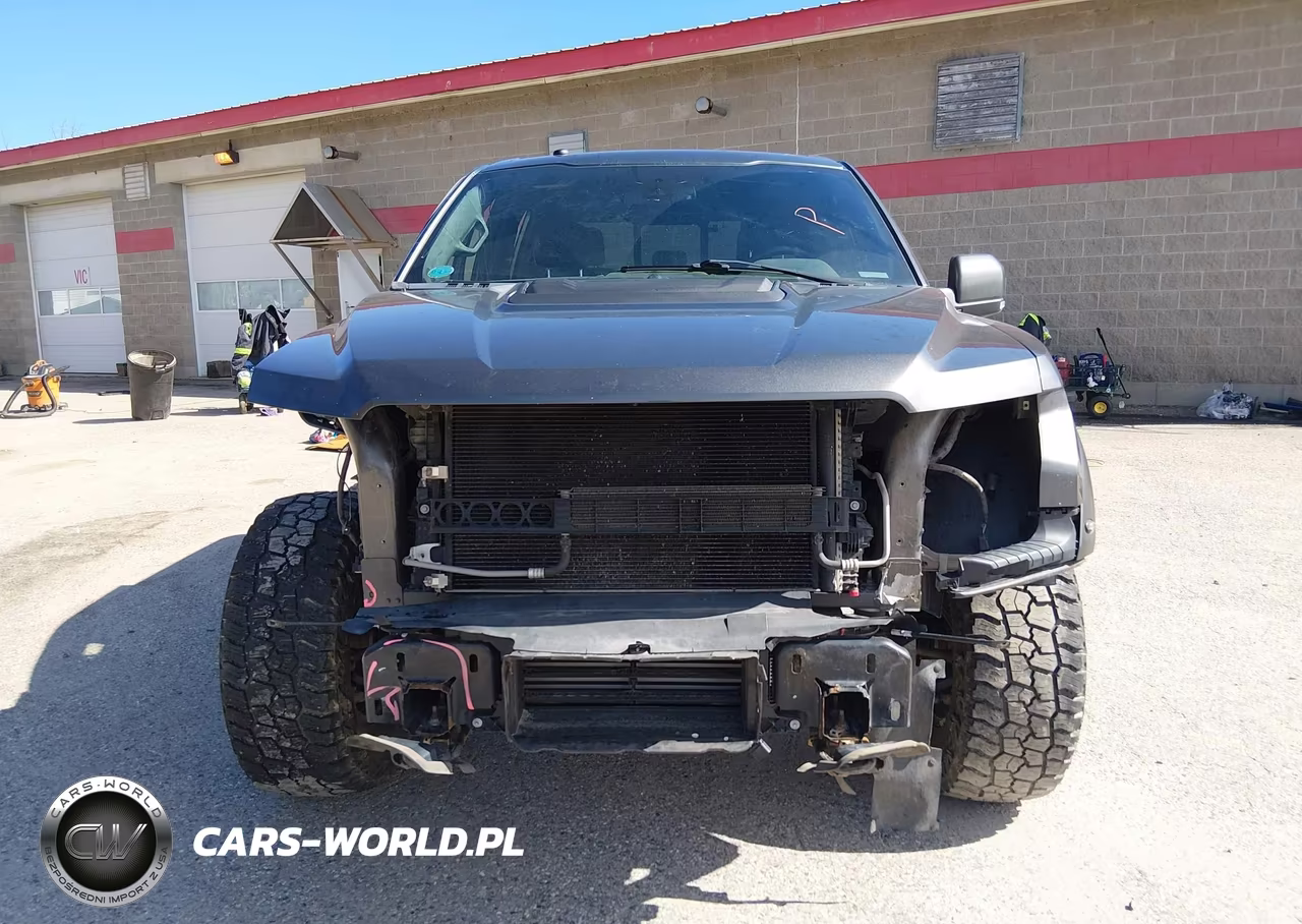 2018 Ford F-150 Raptor VIN:1FTFW1RG0JFC51761 - 13