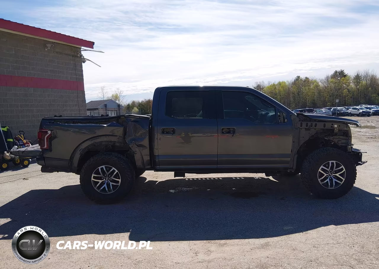 2018 Ford F-150 Raptor VIN:1FTFW1RG0JFC51761 - 14