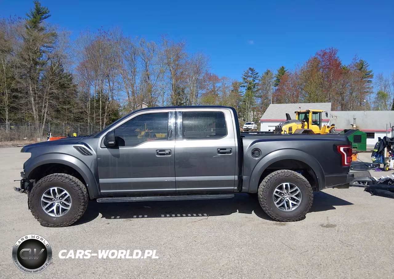 2018 Ford F-150 Raptor VIN:1FTFW1RG0JFC51761 - 15
