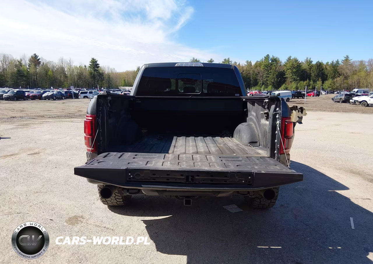 2018 Ford F-150 Raptor VIN:1FTFW1RG0JFC51761 - 17