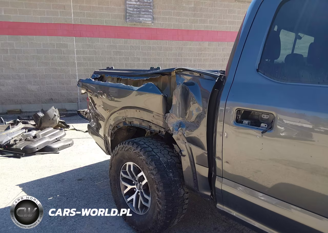 2018 Ford F-150 Raptor VIN:1FTFW1RG0JFC51761 - 19