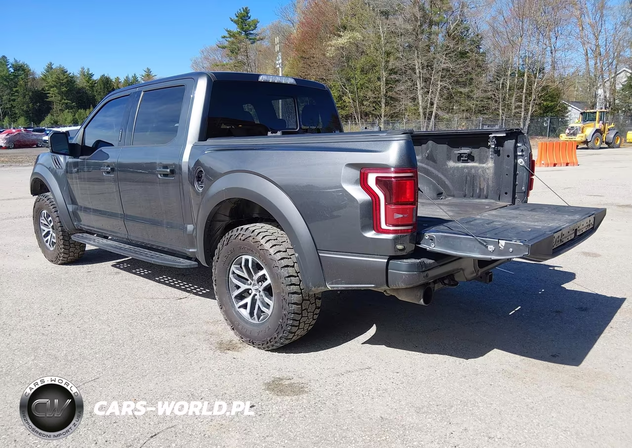 2018 Ford F-150 Raptor VIN:1FTFW1RG0JFC51761 - 3