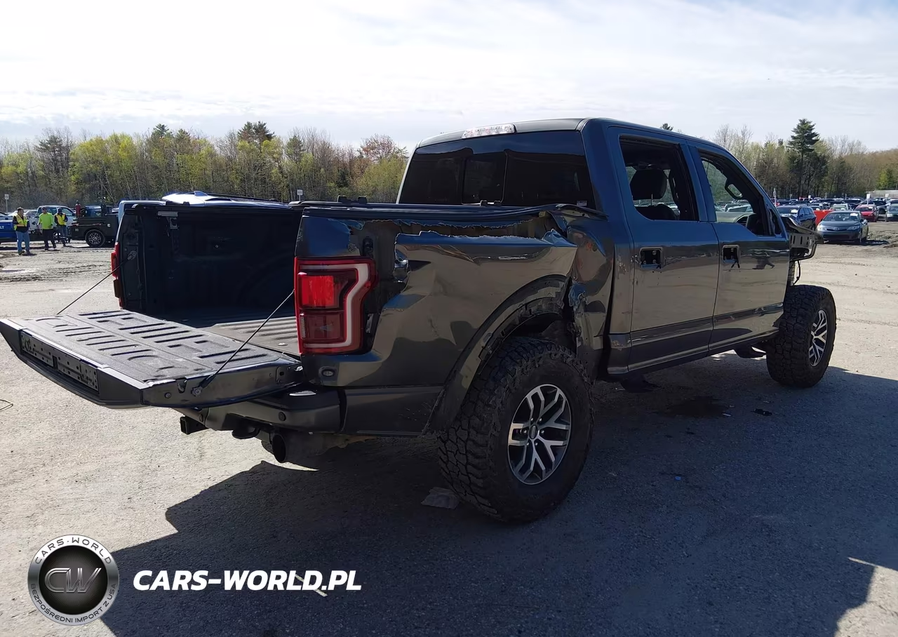 2018 Ford F-150 Raptor VIN:1FTFW1RG0JFC51761 - 4