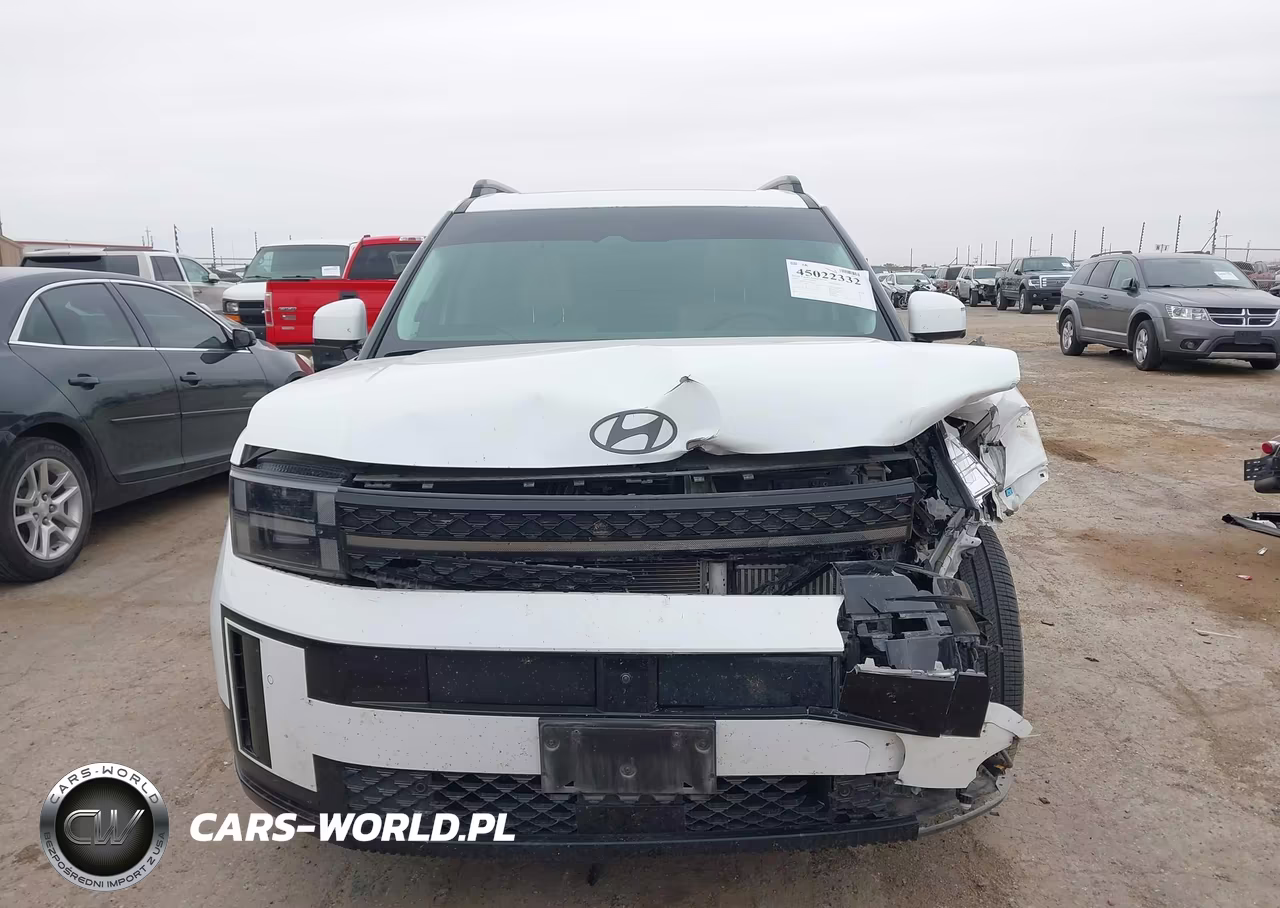 2024 Hyundai Santa Fe Calligraphy VIN:5NMP54GL5RH023133 - 12