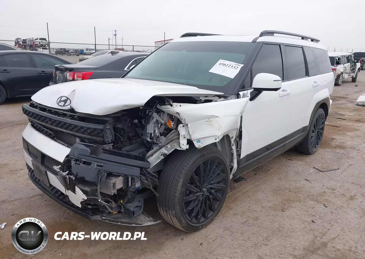 2024 Hyundai Santa Fe Calligraphy VIN:5NMP54GL5RH023133 - 2