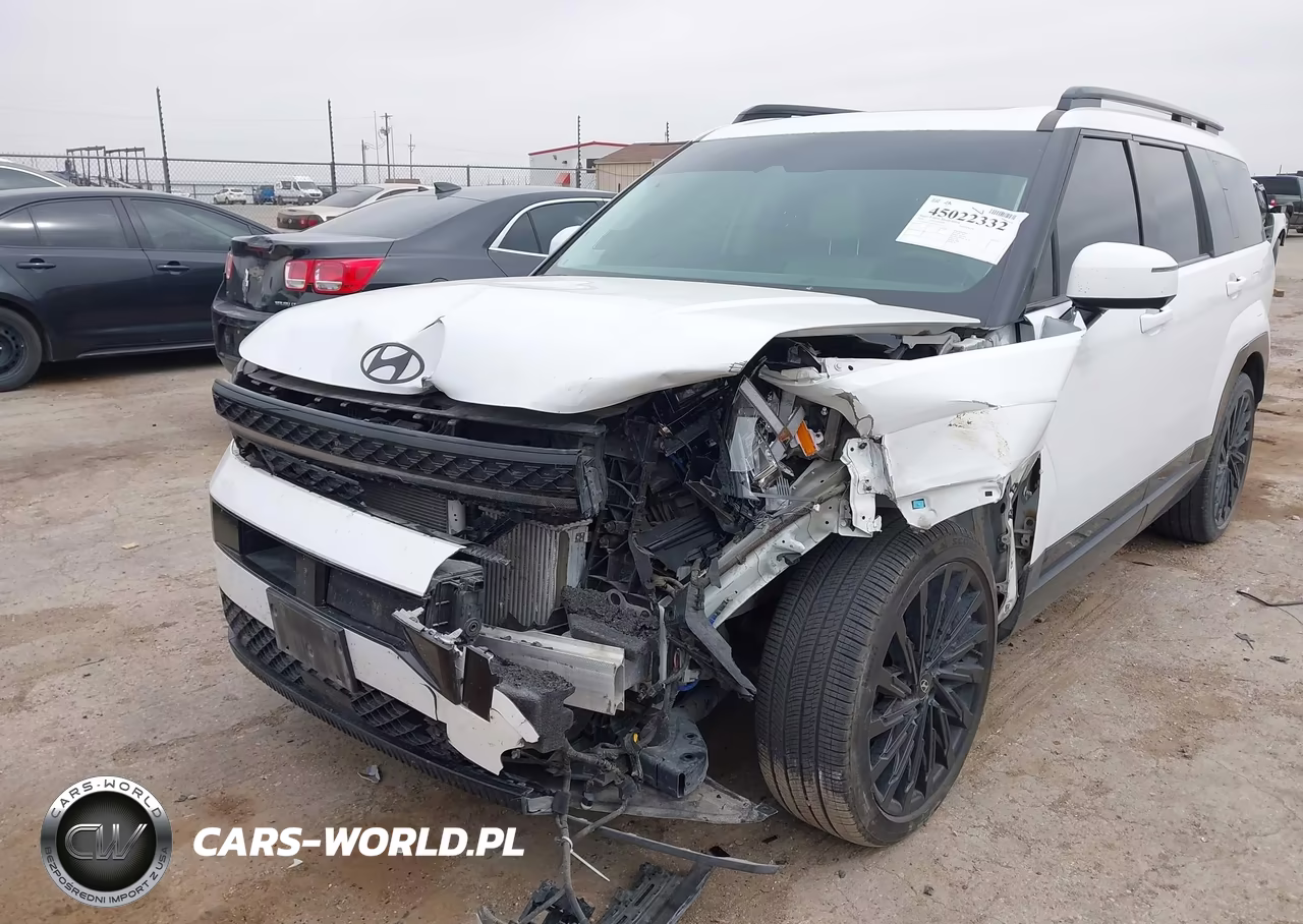 2024 Hyundai Santa Fe Calligraphy VIN:5NMP54GL5RH023133 - 6