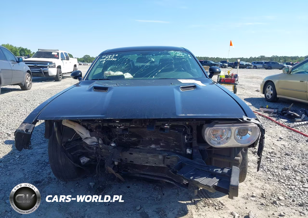 2014 Dodge Challenger R-T 100Th Anniversary Appearance Group VIN:2C3CDYBT1EH251592 - 12