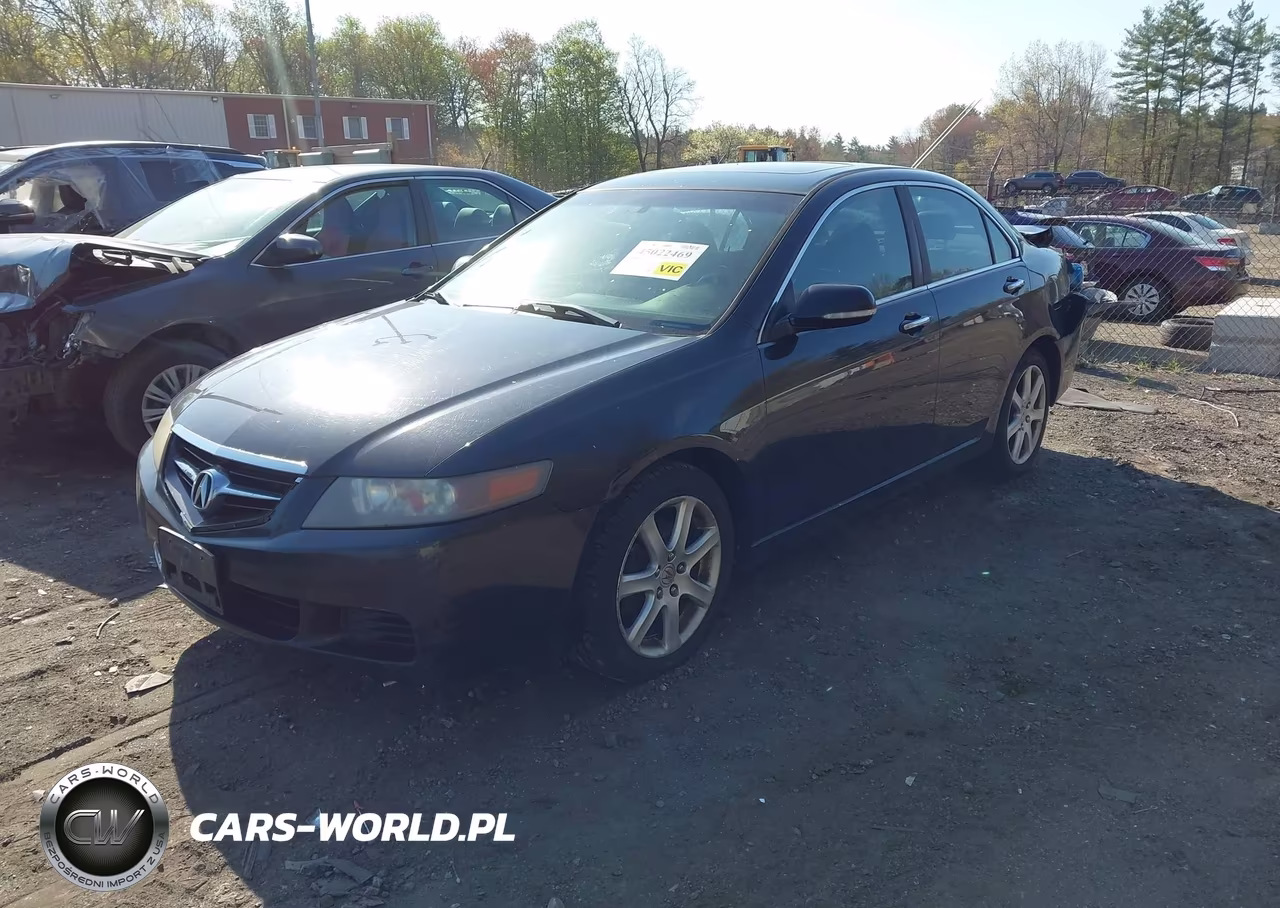 2005 Acura Tsx VIN:JH4CL96895C019950 - 2