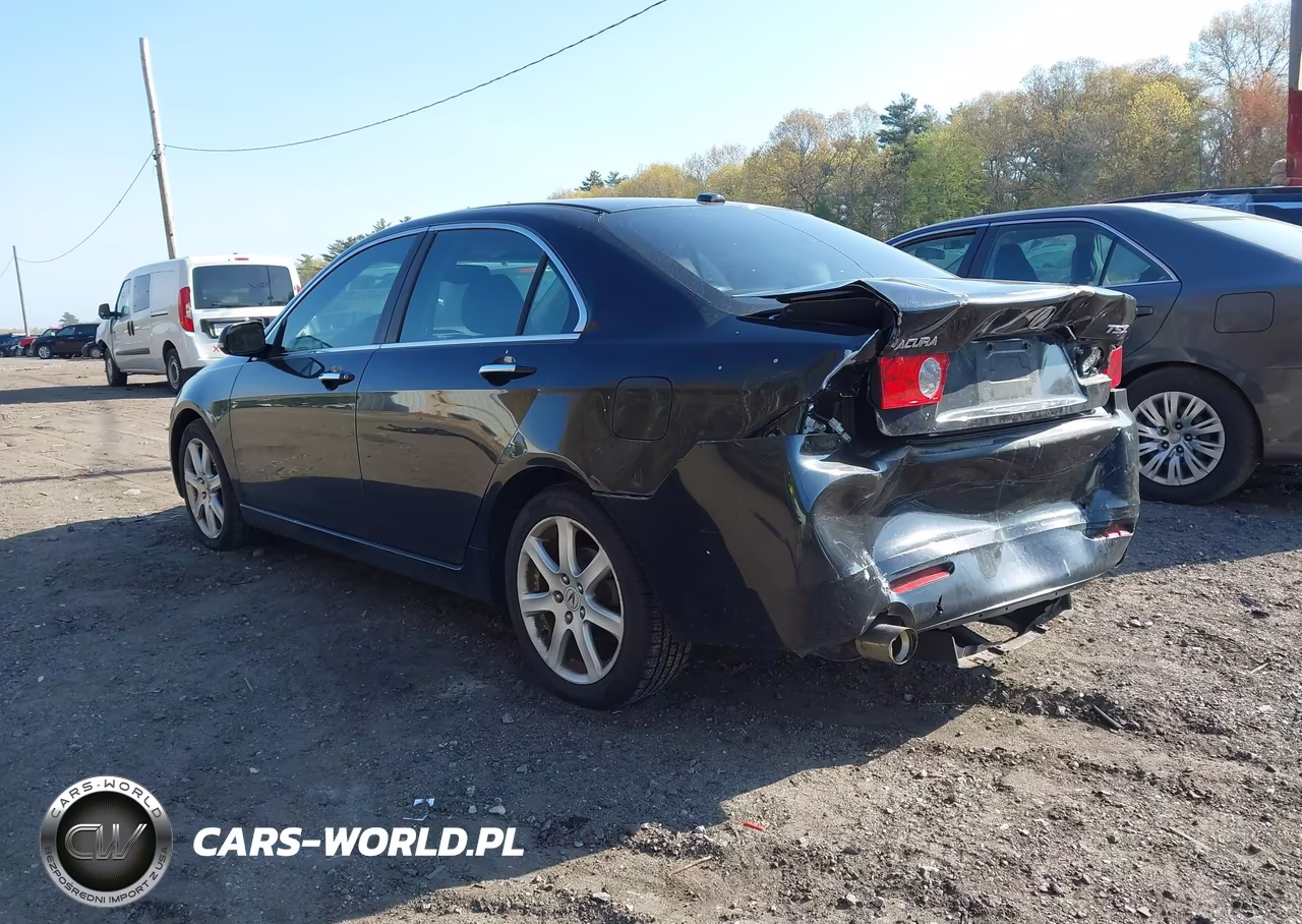 2005 Acura Tsx VIN:JH4CL96895C019950 - 3