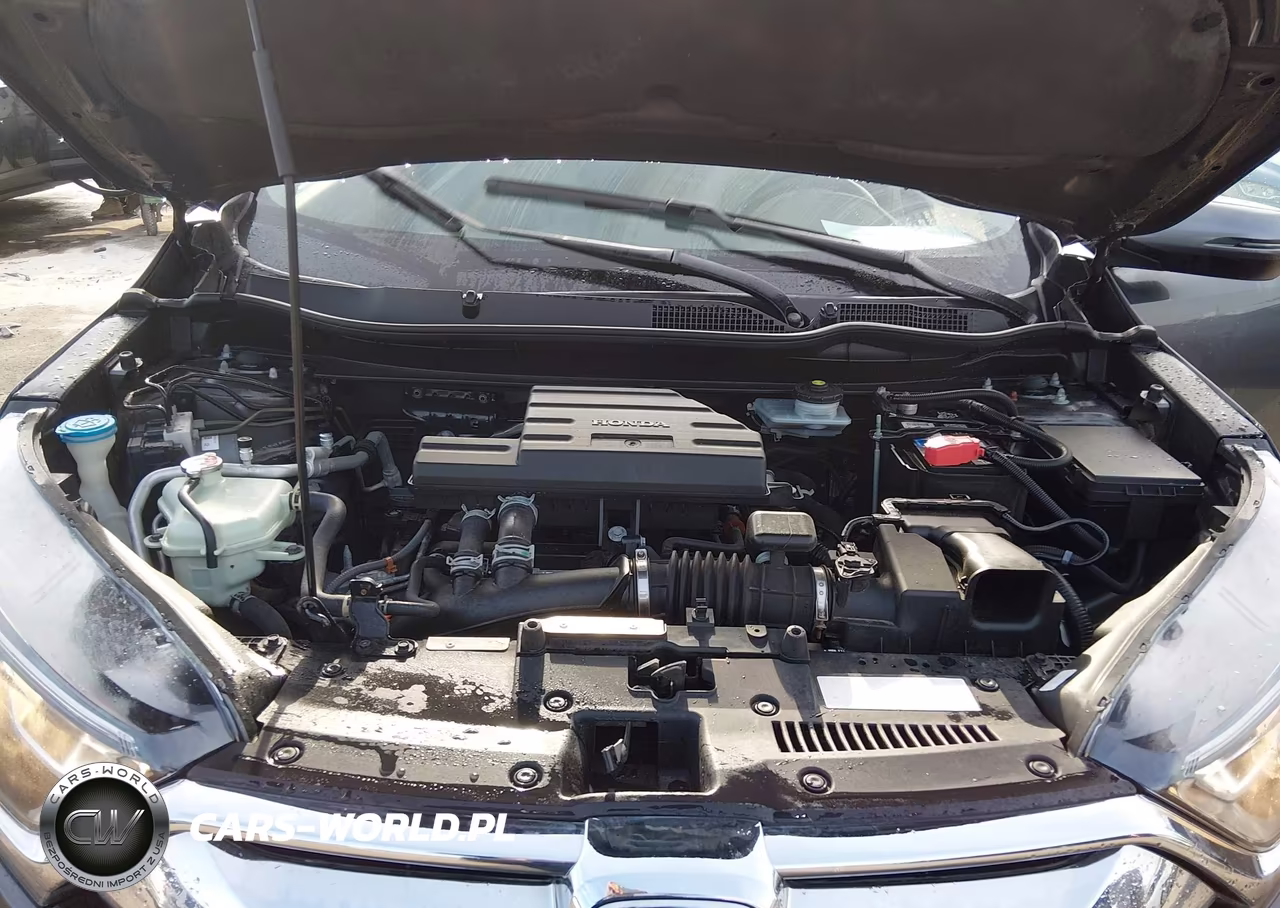 2019 Honda Cr-V Ex-L VIN:5J6RW2H80KA020641 - 10