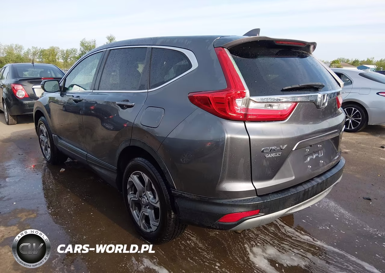 2019 Honda Cr-V Ex-L VIN:5J6RW2H80KA020641 - 3