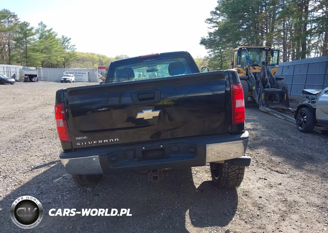 2012 Chevrolet Silverado 1500 Work Truck VIN:1GCNKPEA9CZ308200 - 16