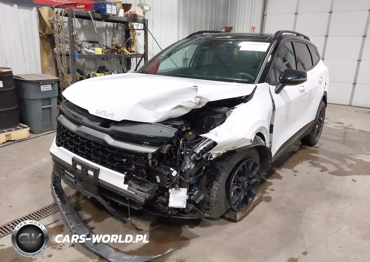 2024 Kia Sportage X-Pro VIN:5XYK7CDF8RG188486 - 2