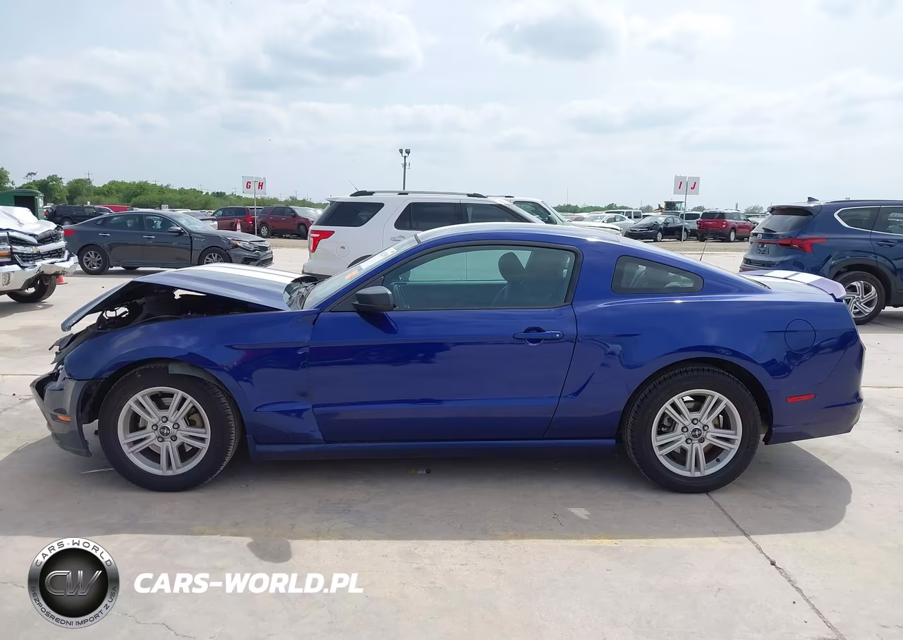 2014 Ford Mustang V6 VIN:1ZVBP8AM1E5250584 - 14
