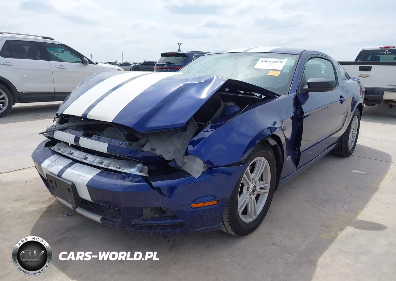 2014 Ford Mustang V6 VIN:1ZVBP8AM1E5250584 - 2