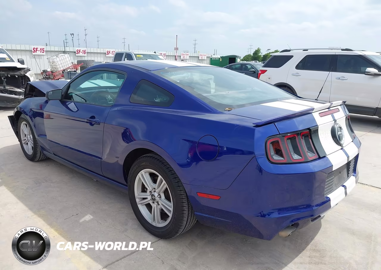 2014 Ford Mustang V6 VIN:1ZVBP8AM1E5250584 - 3