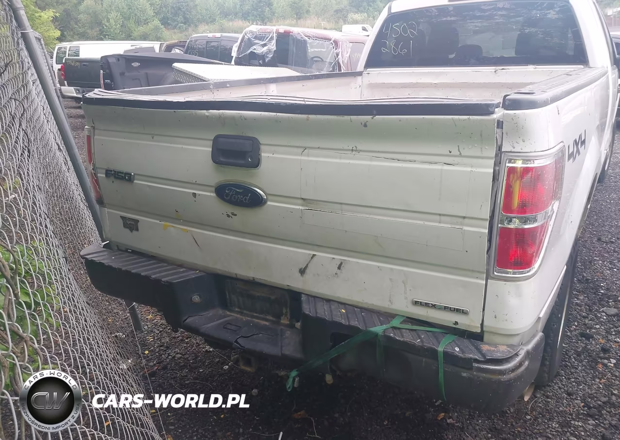 2014 Ford F-150 Xl VIN:1FTFX1EF9EKG34119 - 16