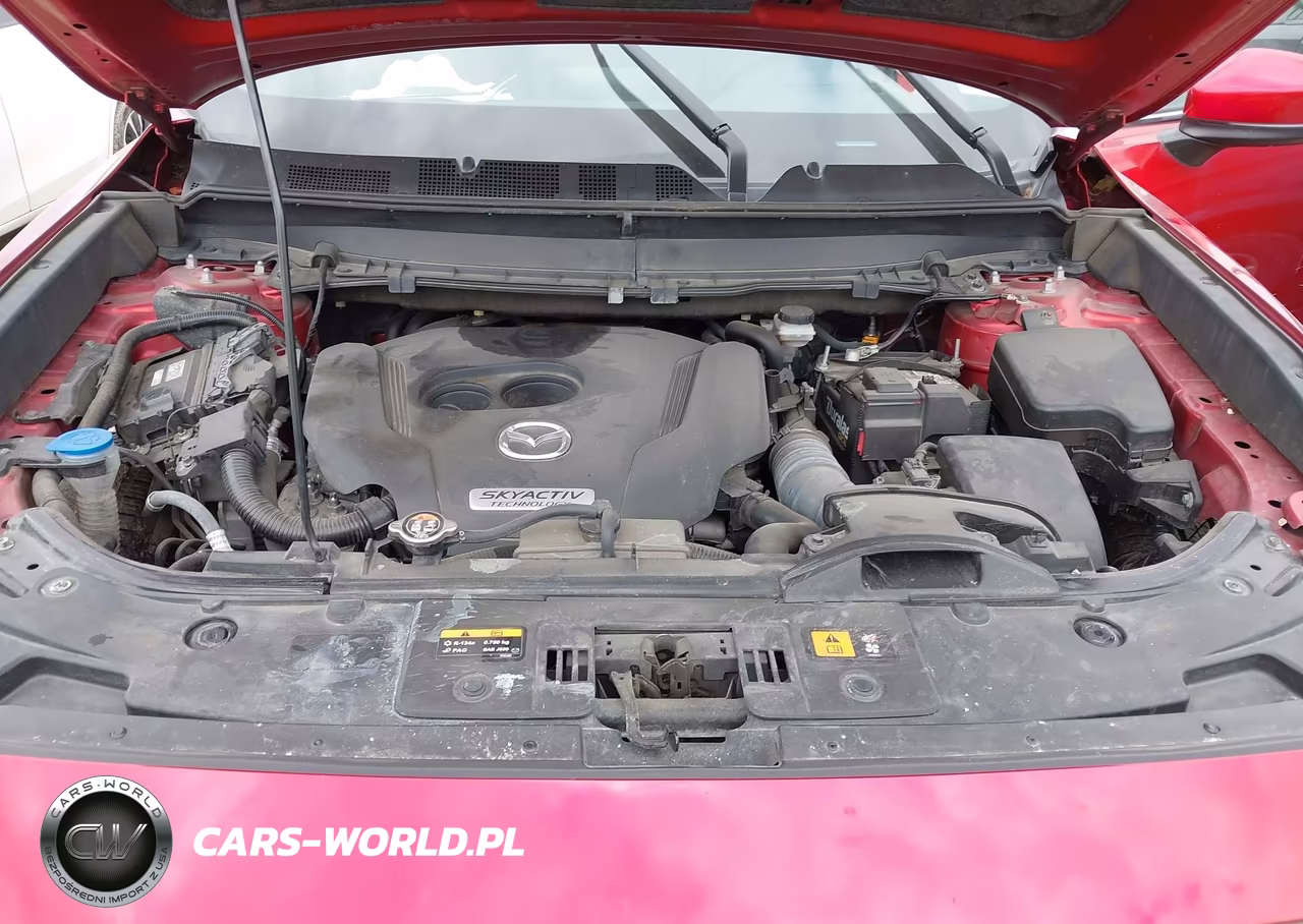 2019 Mazda Cx-9 Grand Touring VIN:JM3TCBDY6K0329425 - 10
