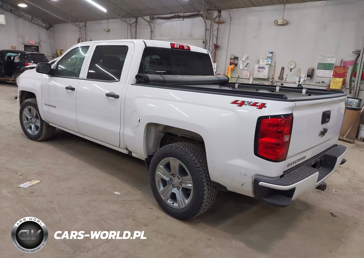 2018 Chevrolet Silverado 1500 Custom VIN:3GCUKPEC1JG374136 - 3