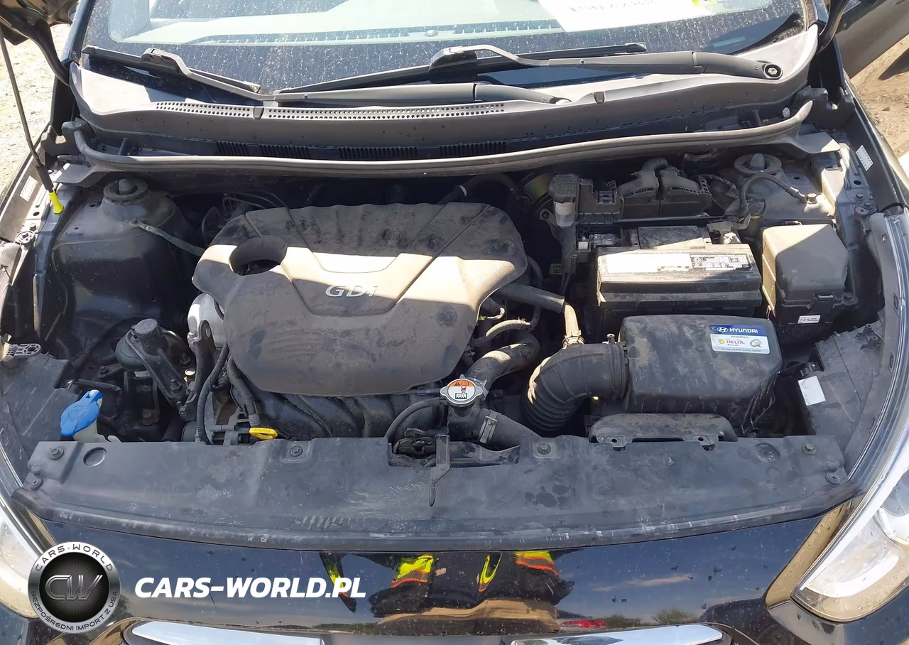 2016 Hyundai Accent Se VIN:KMHCT4AE2GU955452 - 10