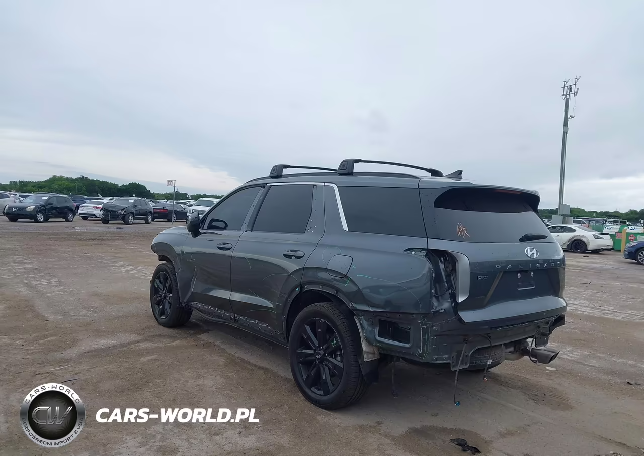 2024 Hyundai Palisade Xrt VIN:KM8R34GEXRU755231 - 3