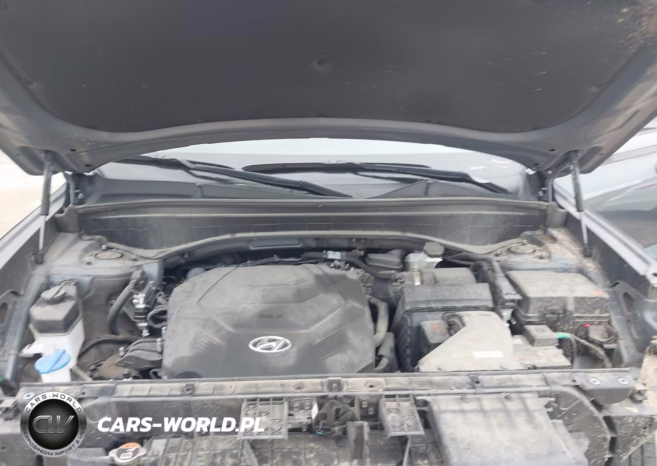 2024 Hyundai Palisade Xrt VIN:KM8R34GEXRU755231 - 8