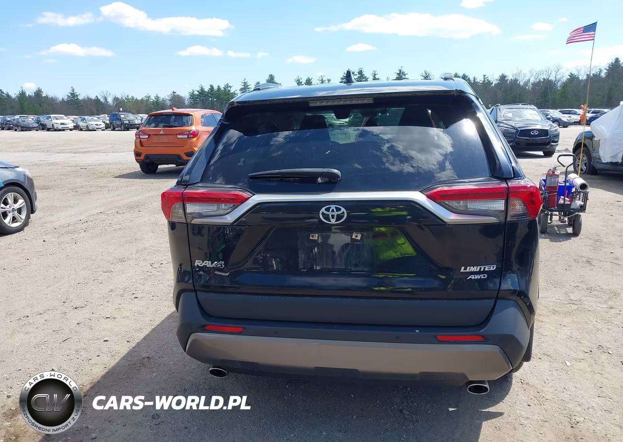 2019 Toyota Rav4 Limited VIN:JTMN1RFV9KD038476 - 17