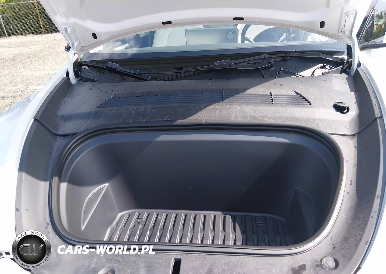 2023 Tesla Model Y Awd-Long Range Dual Motor All-Wheel Drive VIN:7SAYGAEE0PF706313 - 10