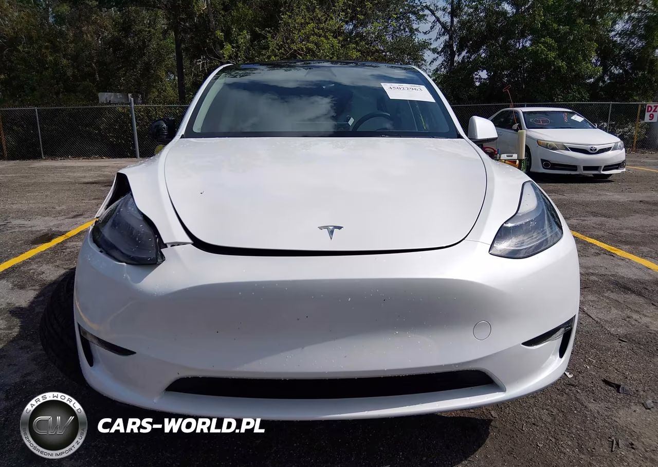 2023 Tesla Model Y Awd-Long Range Dual Motor All-Wheel Drive VIN:7SAYGAEE0PF706313 - 11