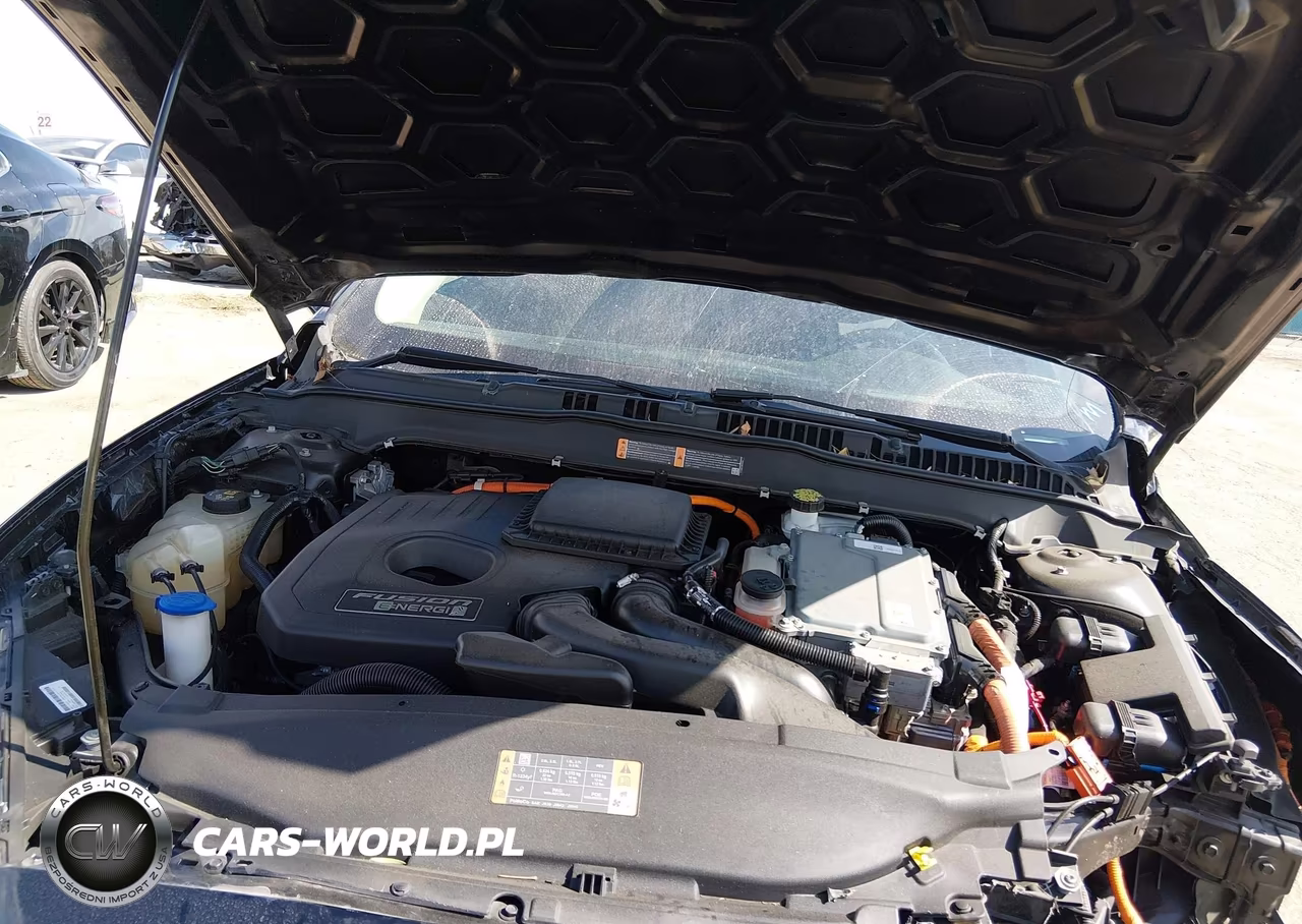 2019 Ford Fusion Energi Titanium VIN:3FA6P0SU0KR232368 - 10