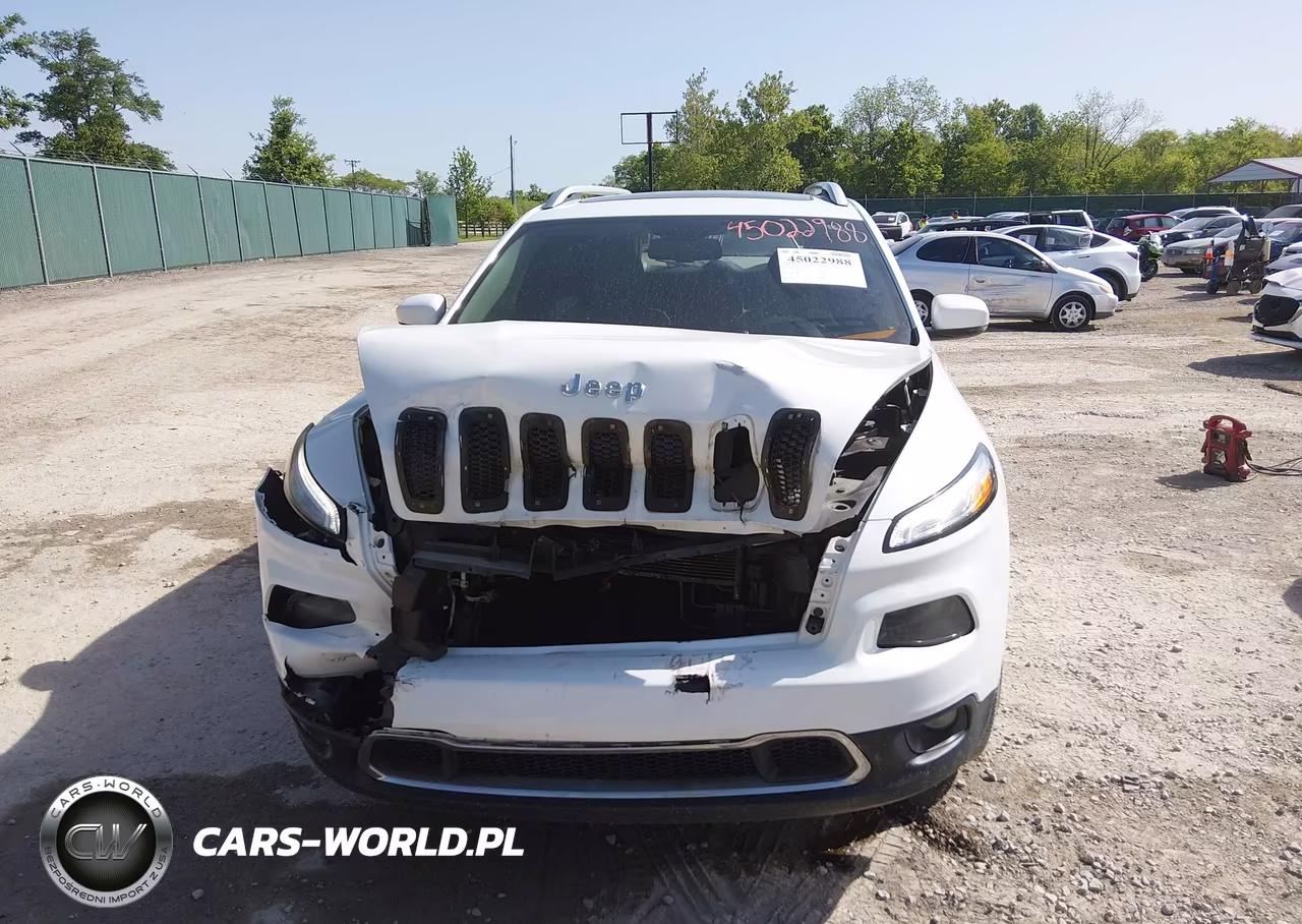 2016 Jeep Cherokee Limited VIN:1C4PJMDS1GW118872 - 12