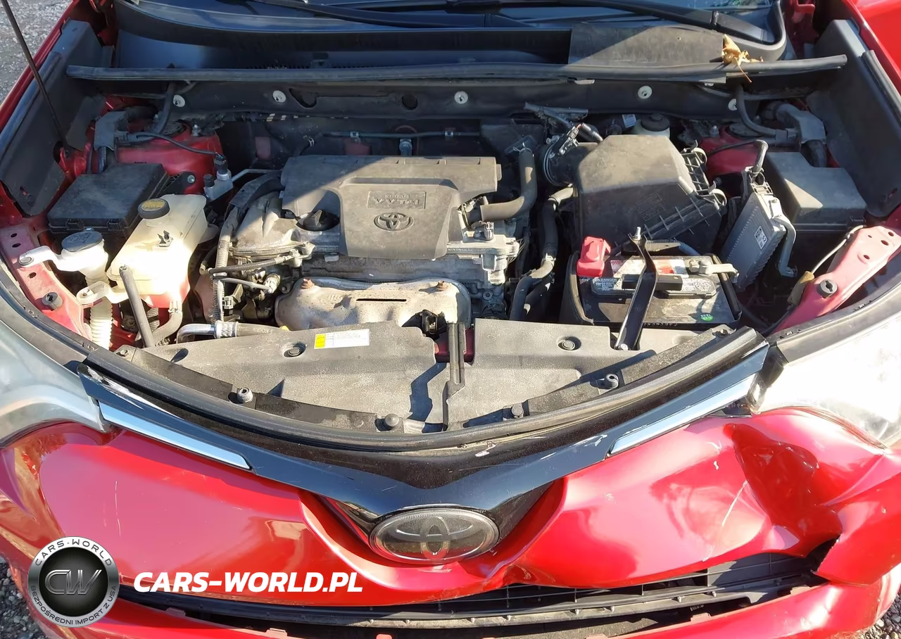 2016 Toyota Rav4 Xle VIN:2T3RFREV8GW425194 - 10