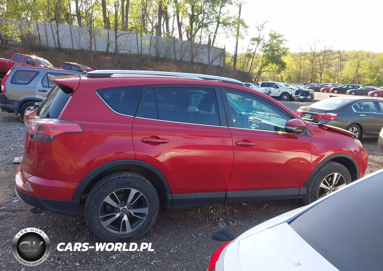 2016 Toyota Rav4 Xle VIN:2T3RFREV8GW425194 - 13