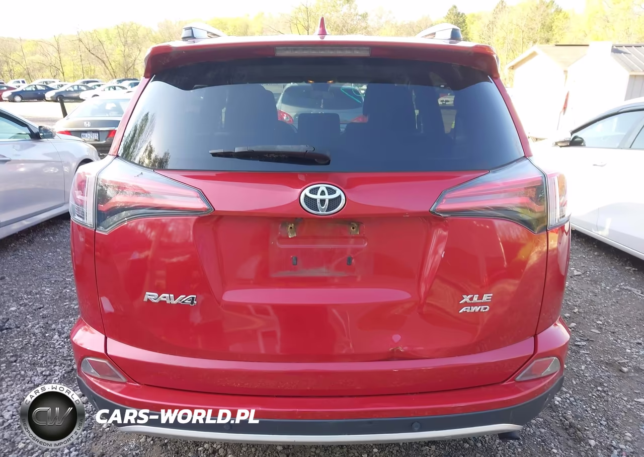 2016 Toyota Rav4 Xle VIN:2T3RFREV8GW425194 - 16