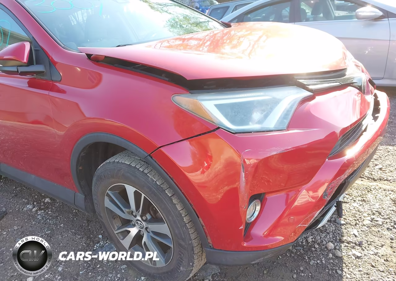 2016 Toyota Rav4 Xle VIN:2T3RFREV8GW425194 - 17