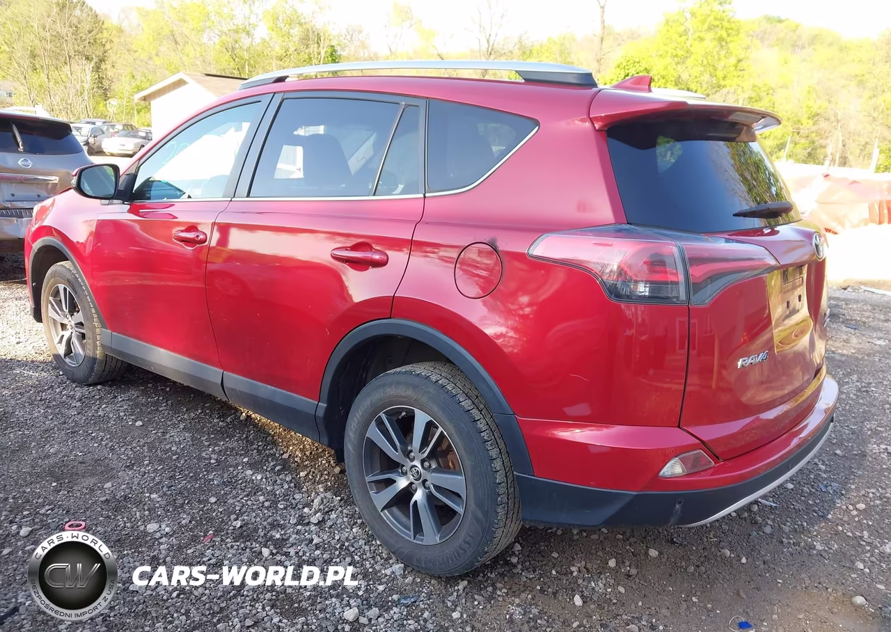 2016 Toyota Rav4 Xle VIN:2T3RFREV8GW425194 - 3