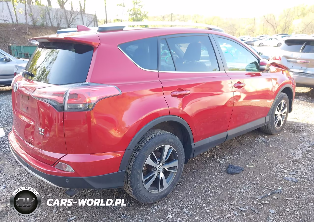 2016 Toyota Rav4 Xle VIN:2T3RFREV8GW425194 - 4
