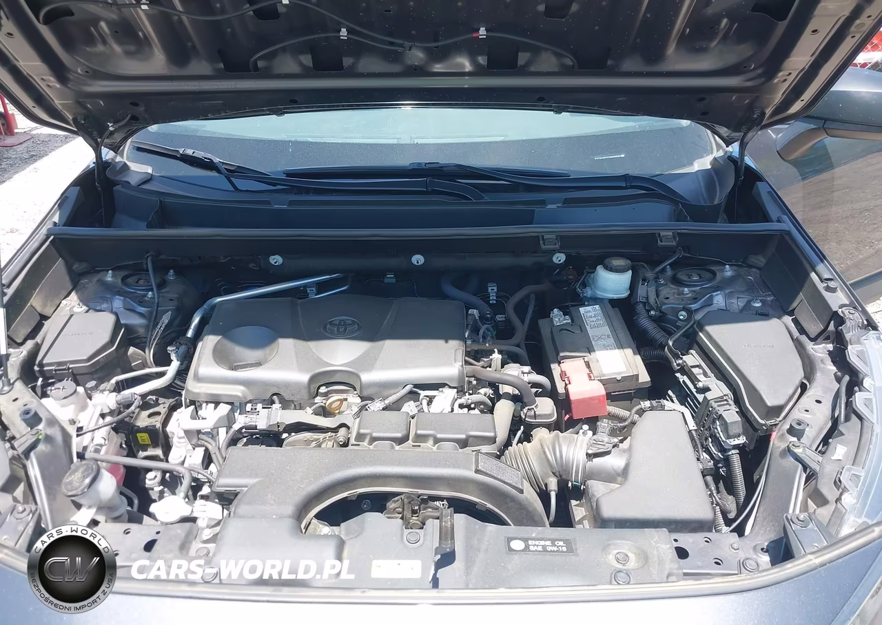 2019 Toyota Rav4 Le VIN:2T3H1RFV7KW030585 - 10