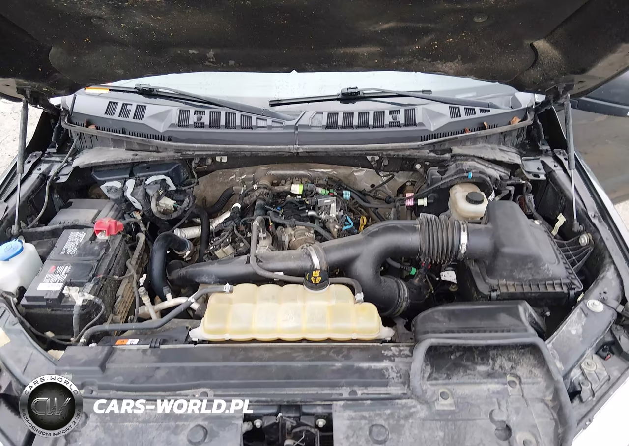 2019 Ford F-150 Xlt VIN:1FTEW1EP9KFD33703 - 10