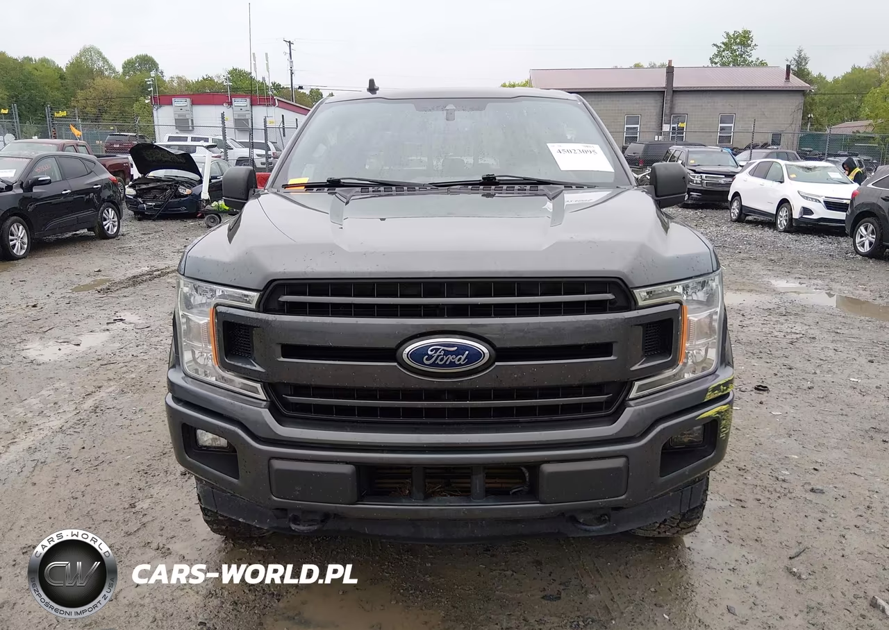2019 Ford F-150 Xlt VIN:1FTEW1EP9KFD33703 - 12