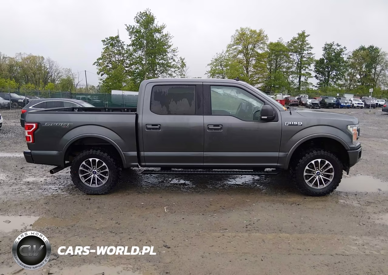 2019 Ford F-150 Xlt VIN:1FTEW1EP9KFD33703 - 13